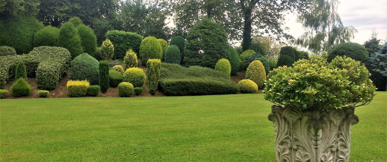 Garten Landschaftsbau Oliver Schafer Baumpflege Gartenpflege